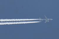 F-HXSG